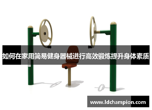 如何在家用简易健身器械进行高效锻炼提升身体素质