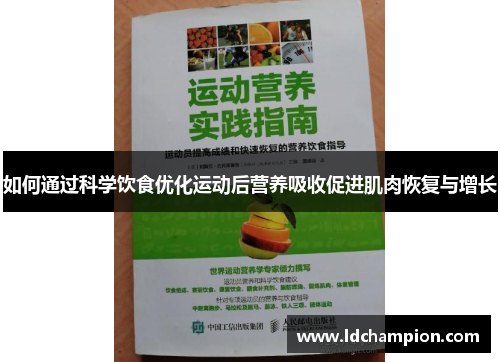 如何通过科学饮食优化运动后营养吸收促进肌肉恢复与增长