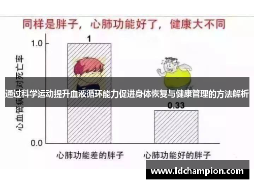 通过科学运动提升血液循环能力促进身体恢复与健康管理的方法解析