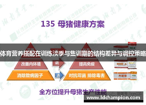 体育营养搭配在训练淡季与集训期的结构差异与调控策略