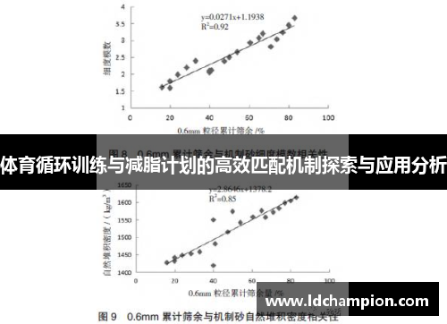 体育循环训练与减脂计划的高效匹配机制探索与应用分析